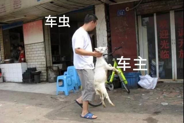 二手车,二手车电商平台,二手车市场