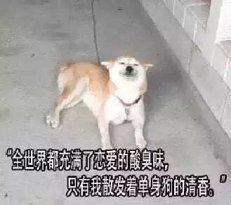 买车网