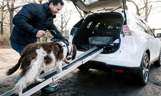 为狗狗设计的汽车 日产推奇骏4dogs